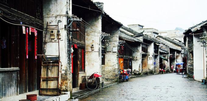 动物帮帮忙保卫家园